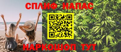 стаф Кулебаки