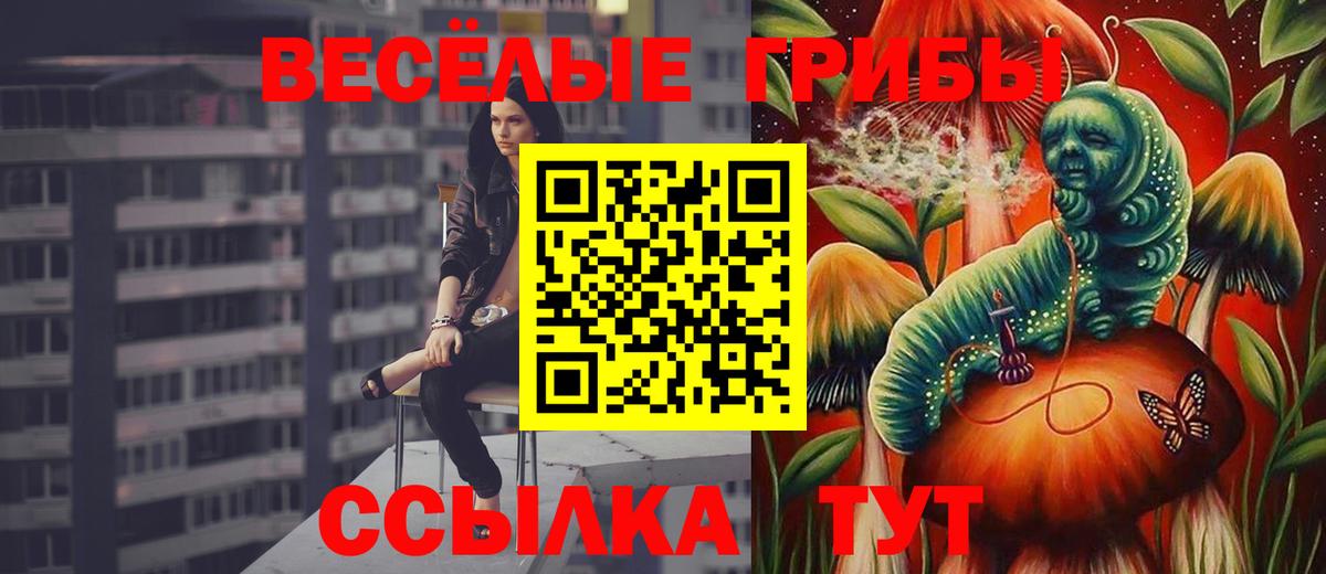 цены наркотик  Вход с VPN  Тосно  Галлюциногенные грибы Cubensis  Псилоцибиновые грибы прущие грибы 