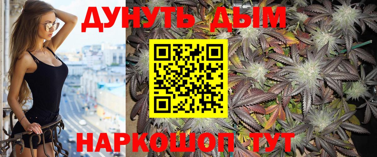 Бошки марихуана планчик  Канабис MAZAR  Каннабис White Widow  Тосно  Вход с VPN 